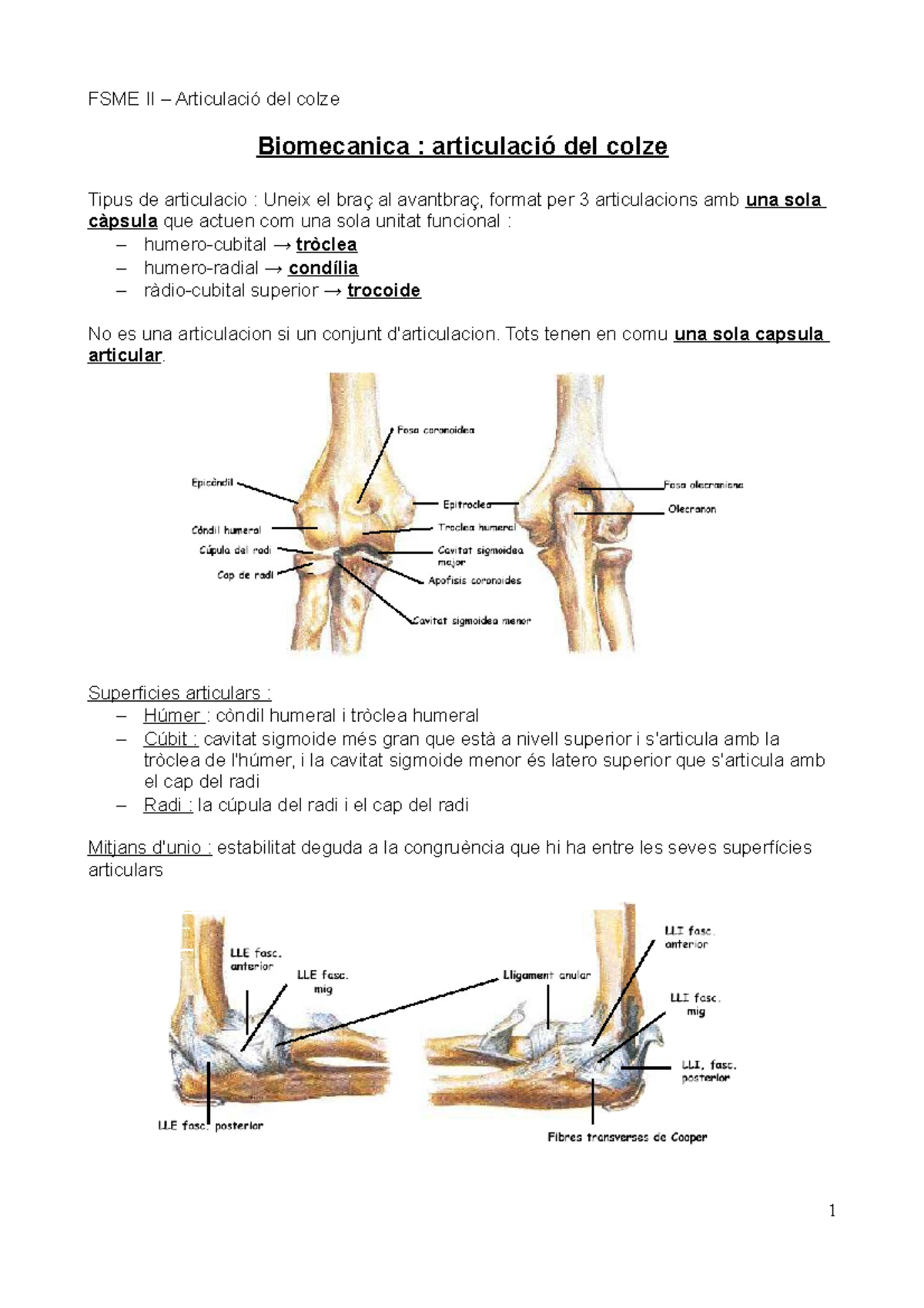 Fiche Biomecanica colze a imprimer - Biomecanica : articulació del ...