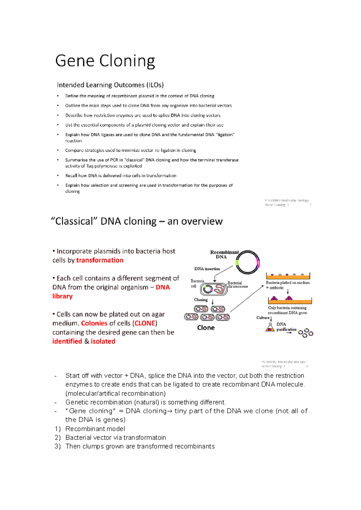 Gene Cloning 2 - Notes on MB's Gene REg - Start off with vector + DNA ...
