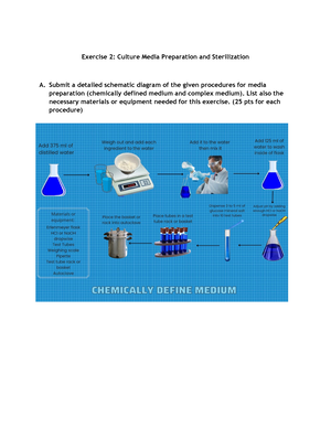 LAB- Exercise-3 - Activity - LABORATORY ACTIVITY 3 SMEAR PREPARATION ...