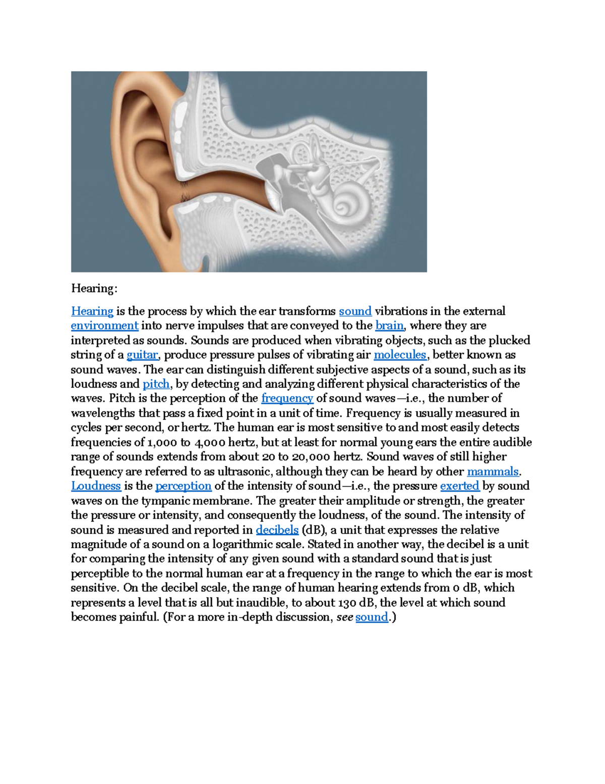 Understanding Hearing: Process And Mechanism - Studocu