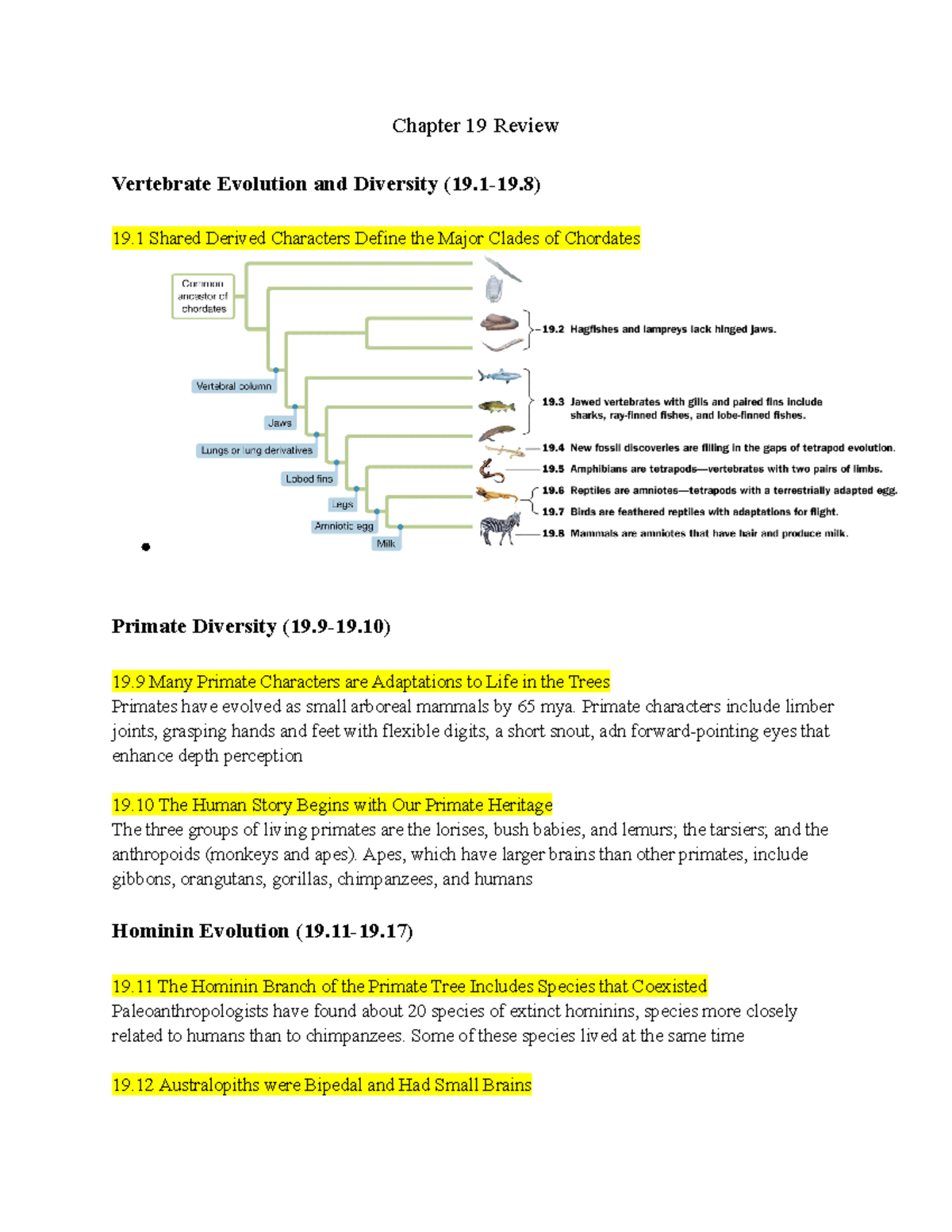 Chapter 19 Textbook Review Chapter 19 Review Vertebrate Evolution And Diversity 191 19 19 