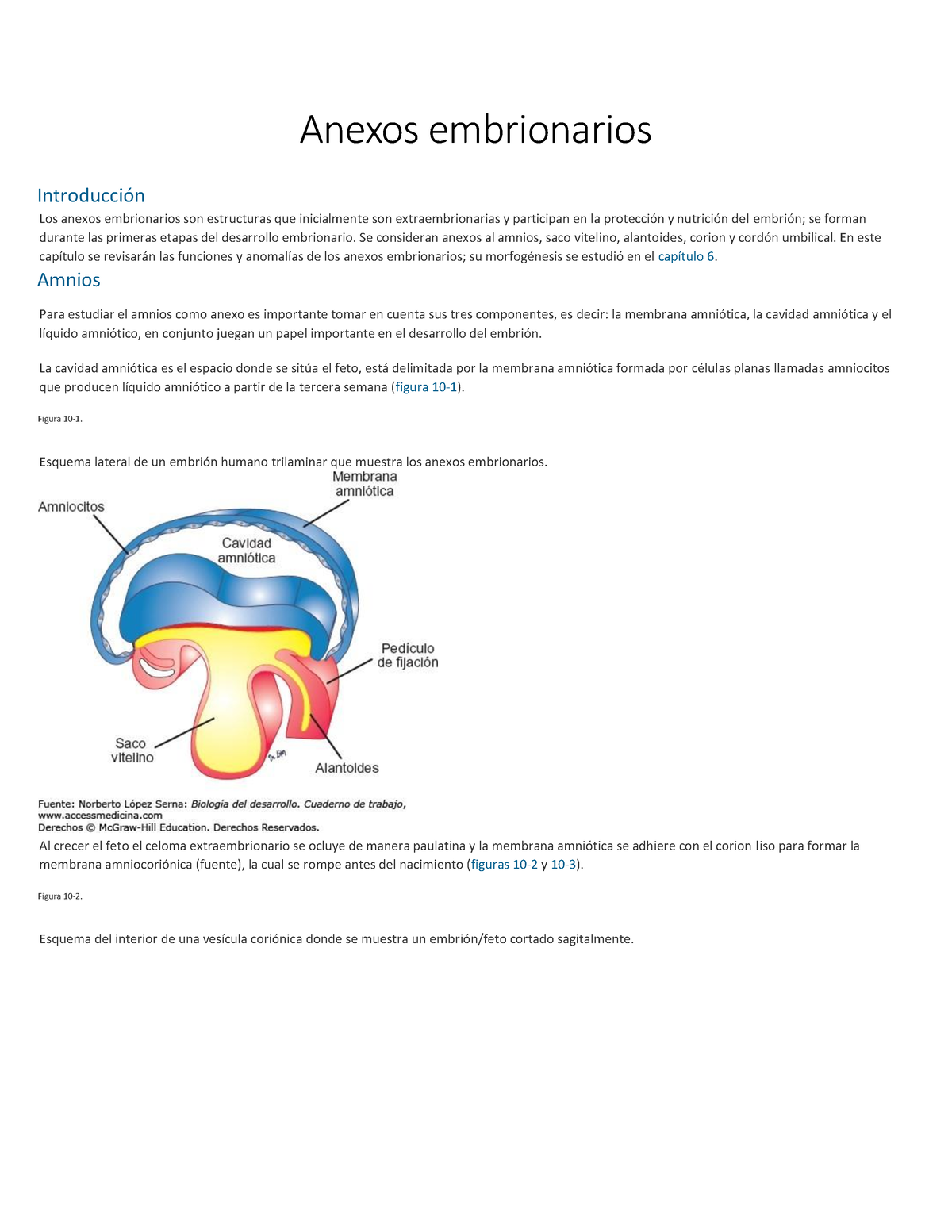 Semana 4. Documento De Lectura - Anexos Embrionarios Introducción Los ...