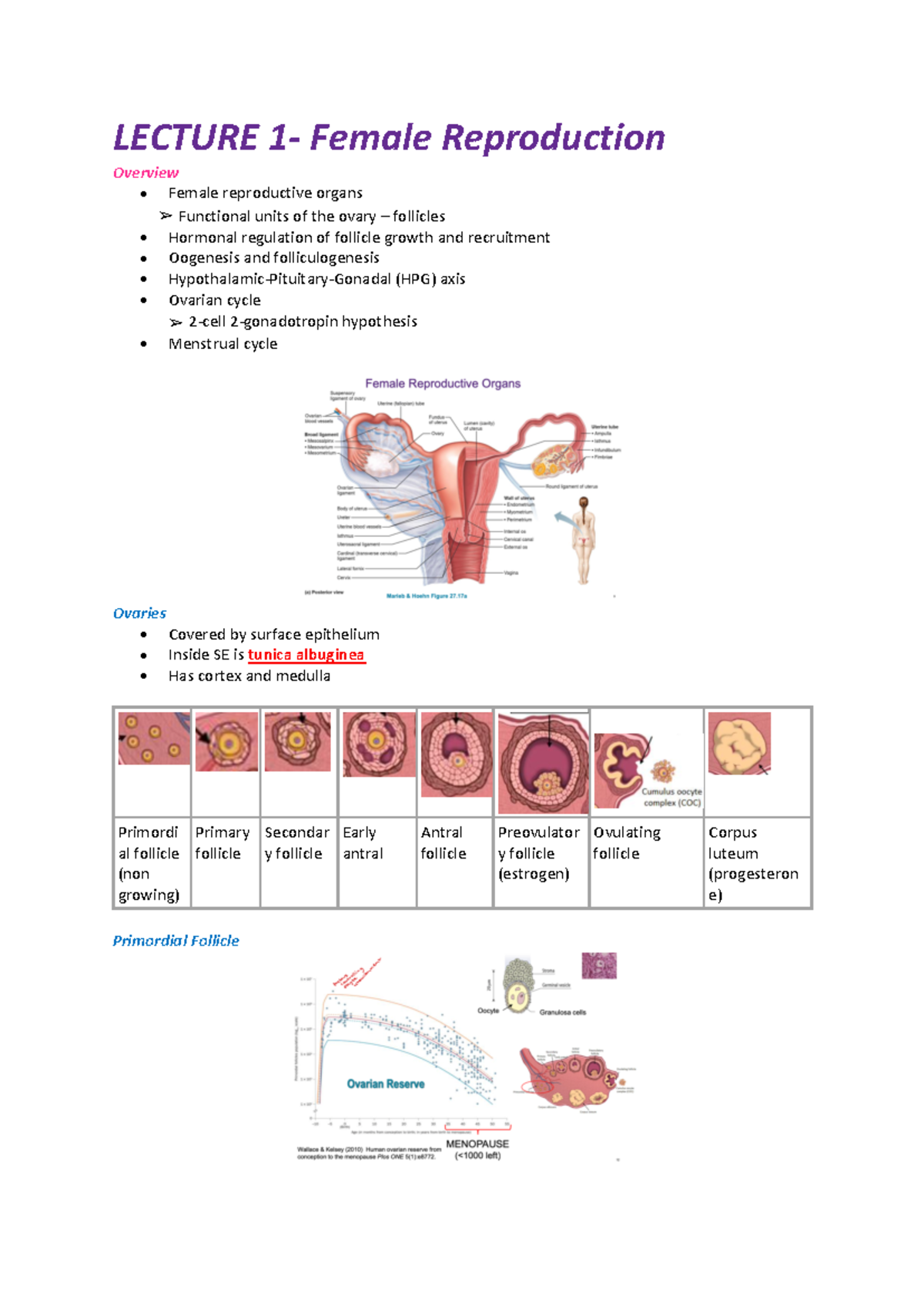 BIOM3020 Female Reproduction Lecture Notes: Key Concepts and Insights ...