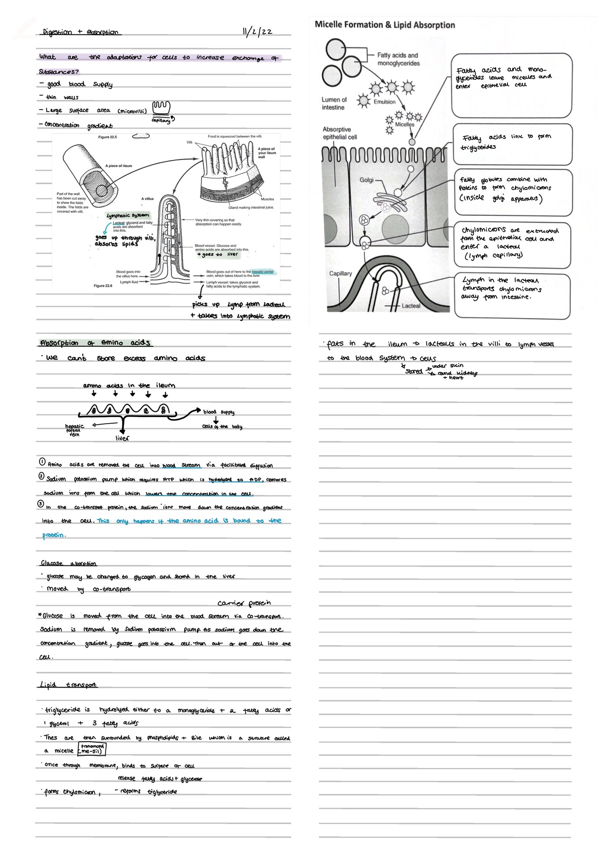 write an essay about studying abroad