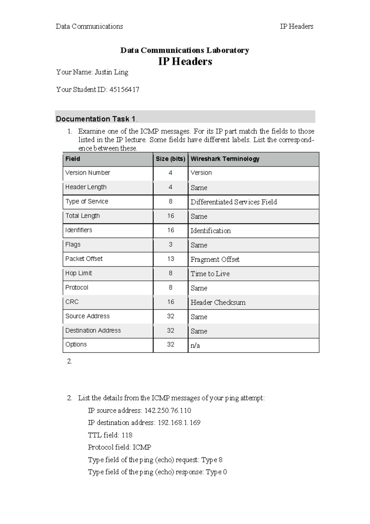 Practical - IP Headers - Documentation Template - Data Communications ...