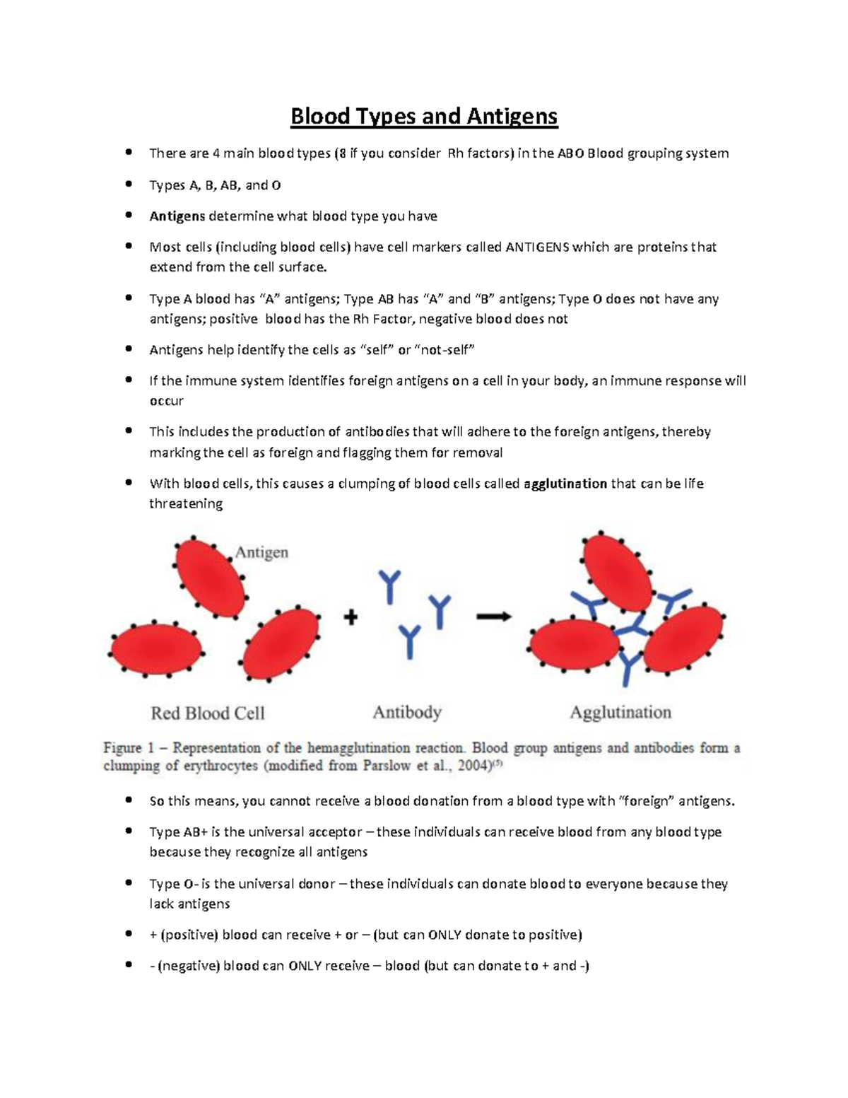 blood types essay