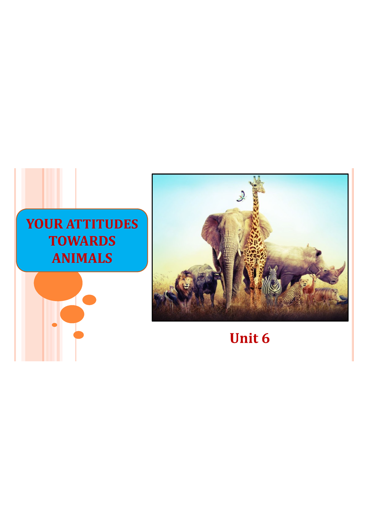 human attitude towards animals essay