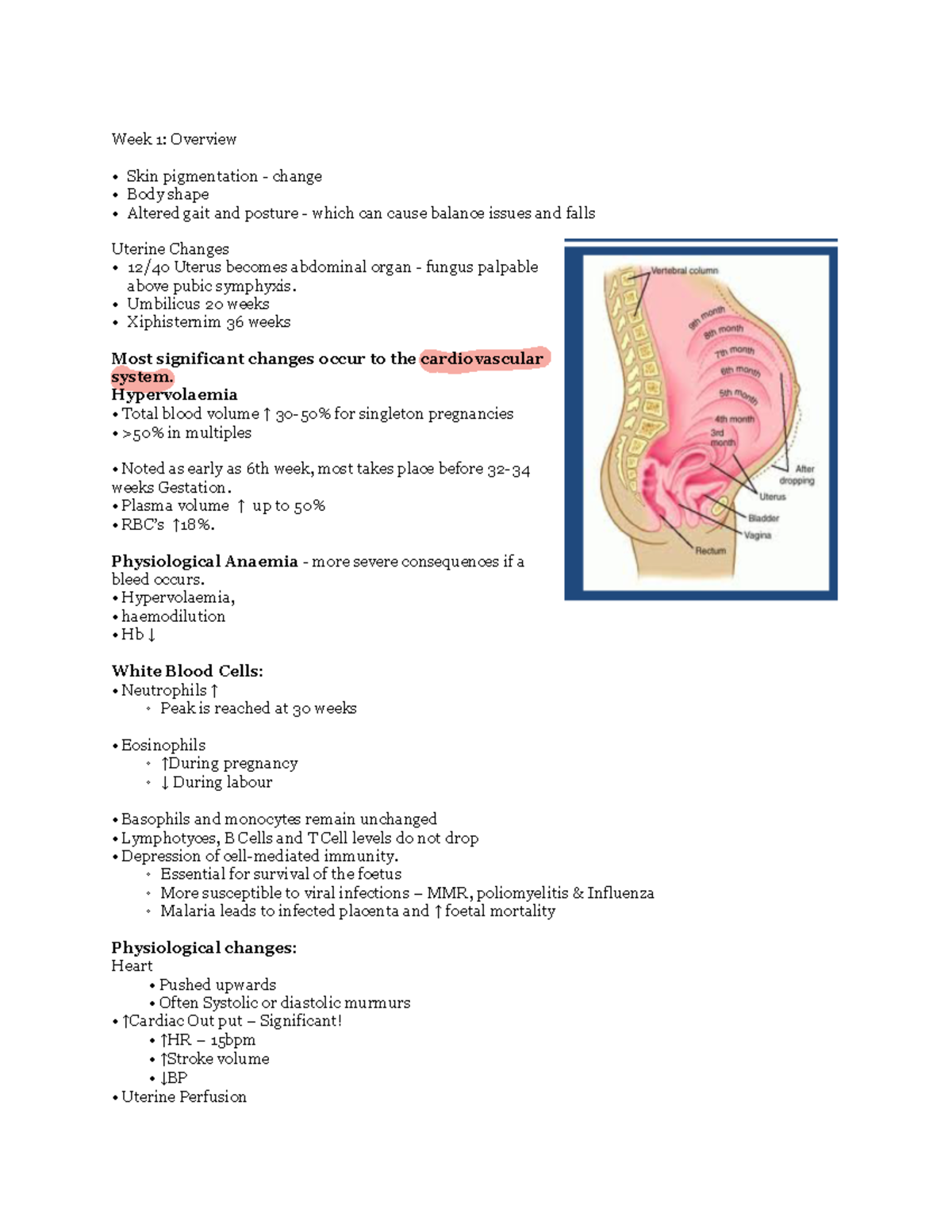 Week 1 - Lecture - Week 1: Overview Skin pigmentation - change Body ...