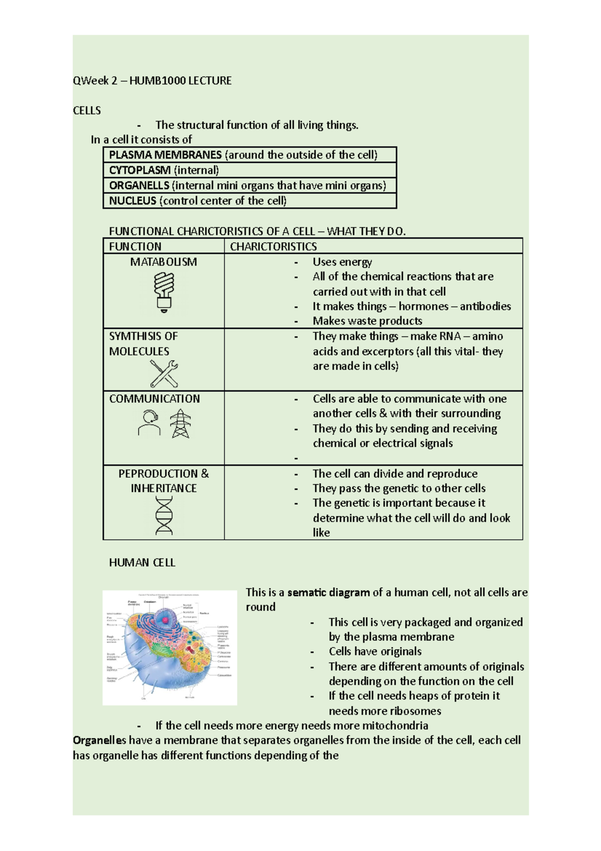 Week 2 notes on lecture - QWeek 2 – HUMB1000 LECTURE CELLS - The ...