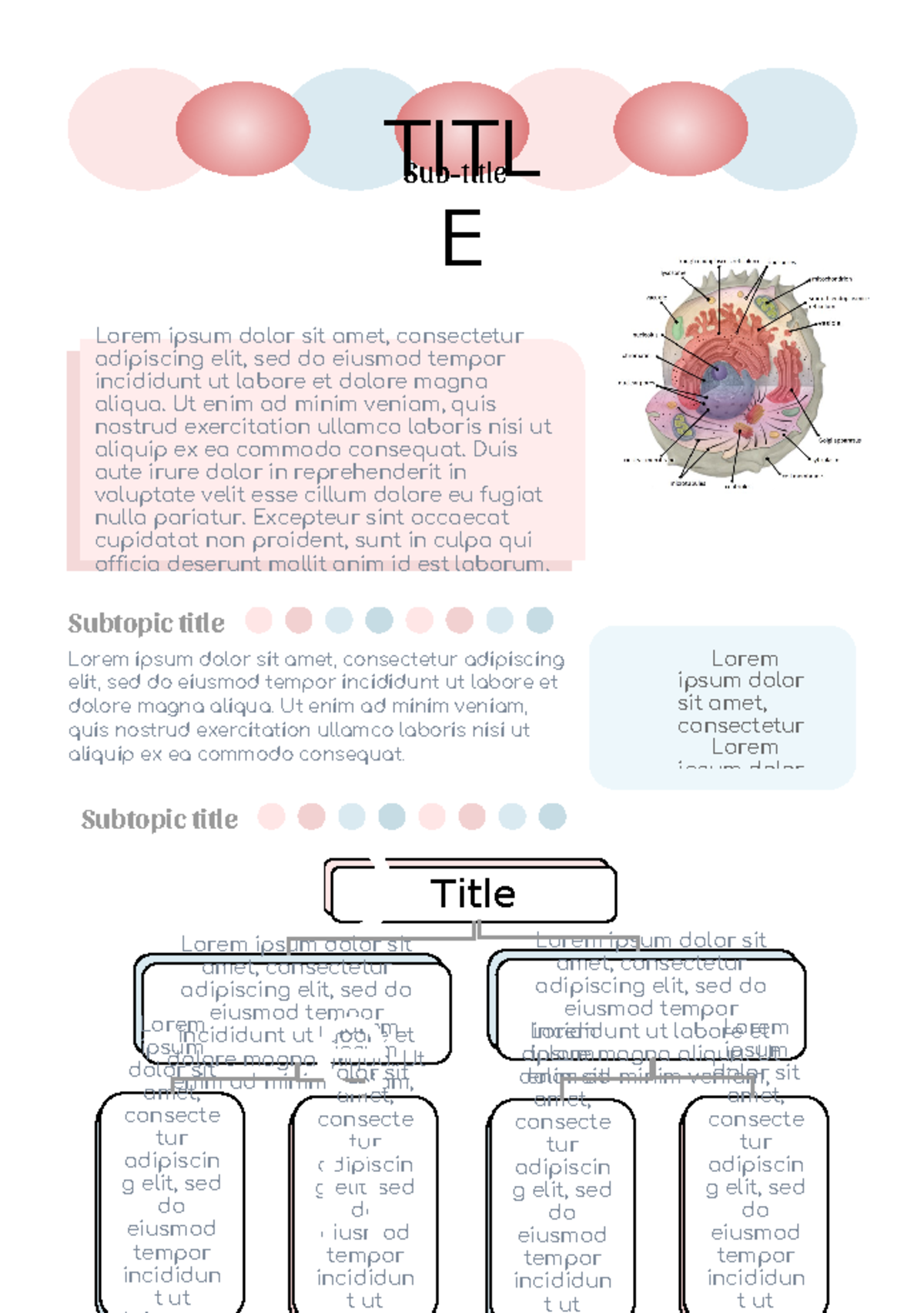 Notes Title - transes template - Subtopic title Lorem ipsum dolor sit ...