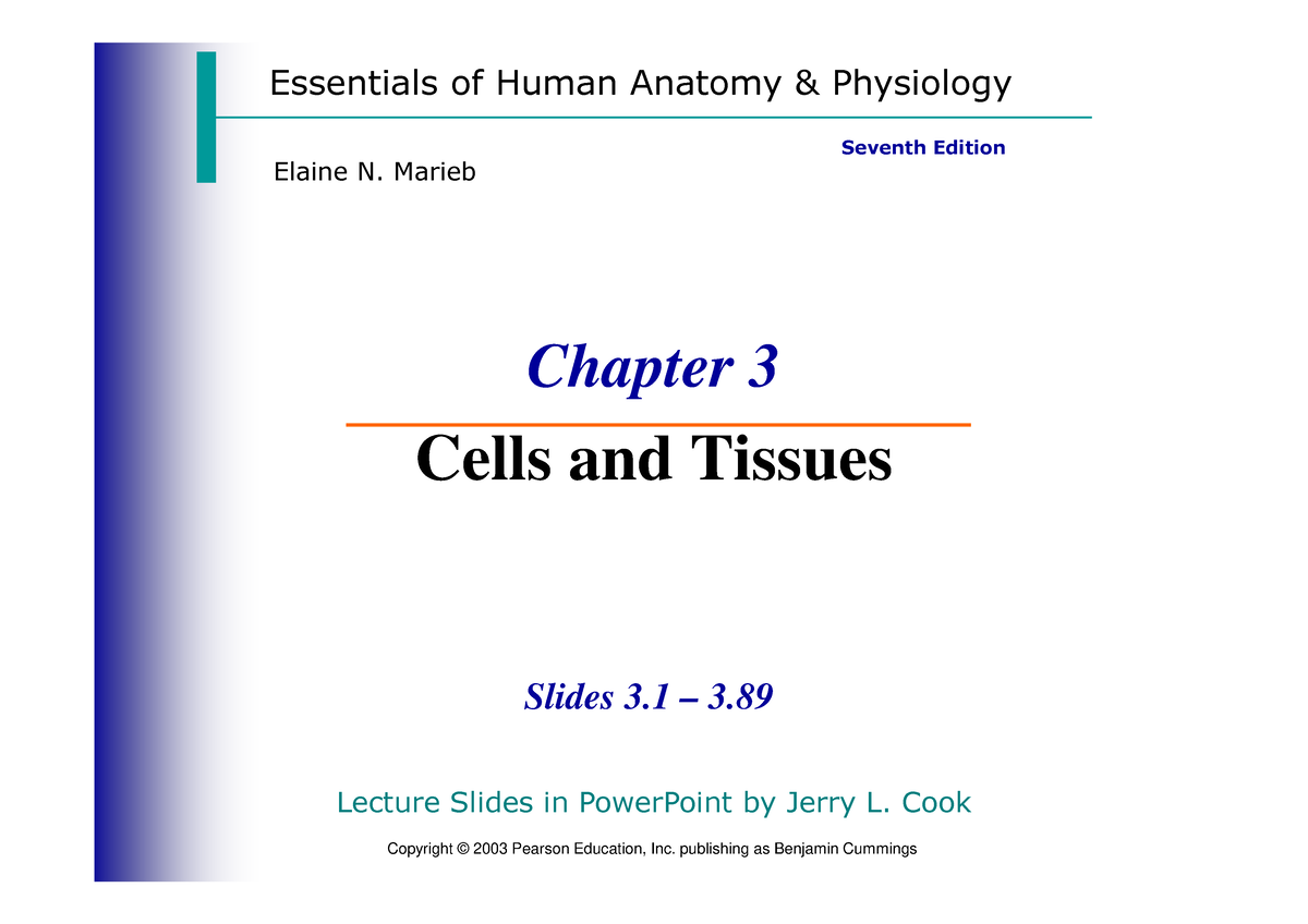 Cells-and-Tissues Marieb - Essentials Of Human Anatomy & Physiology ...