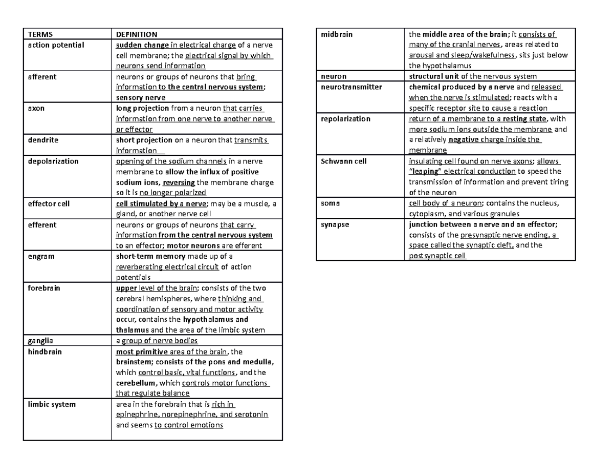 CNS - CNS lecture notes - TERMS DEFINITION action potential sudden ...