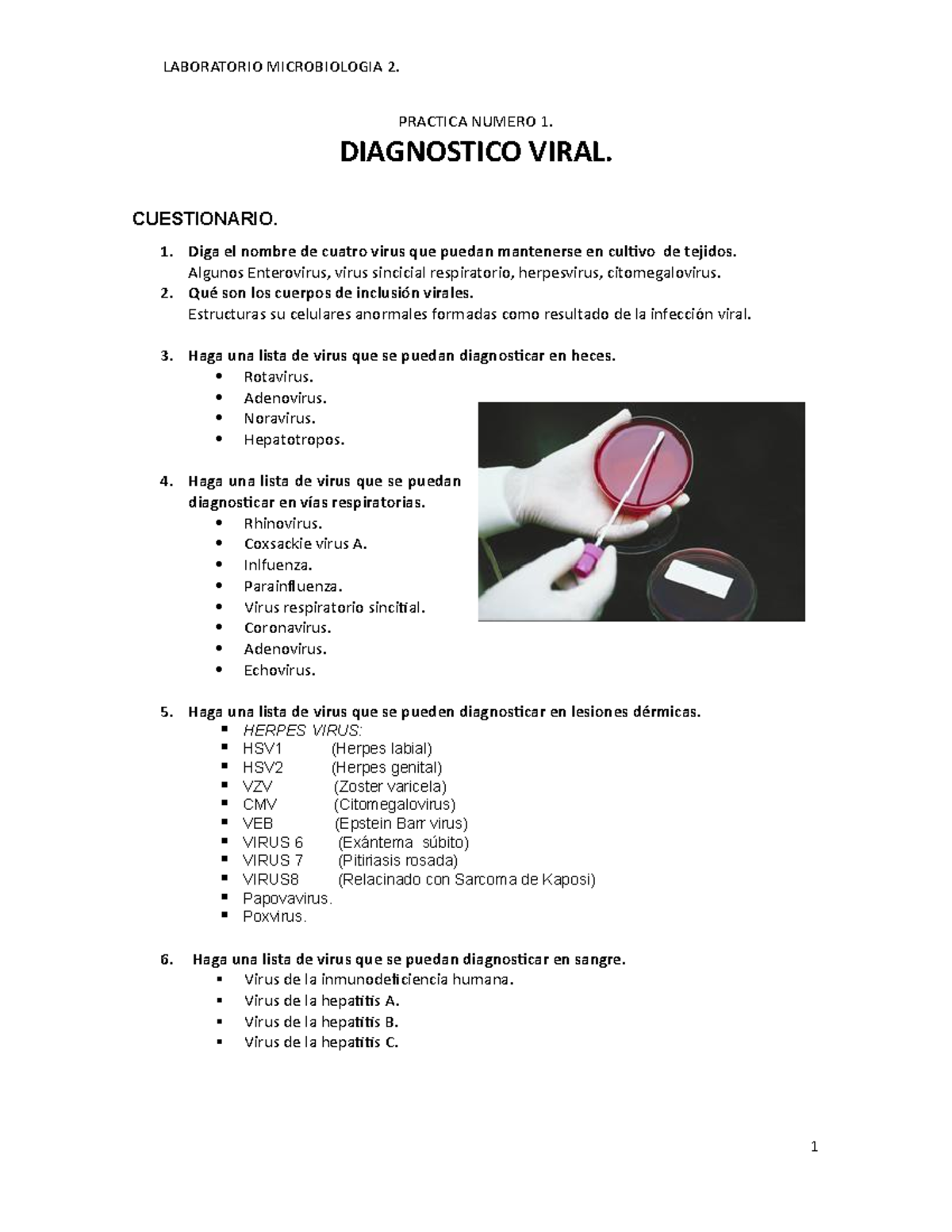 Manual de microbiologia essay 06 picture