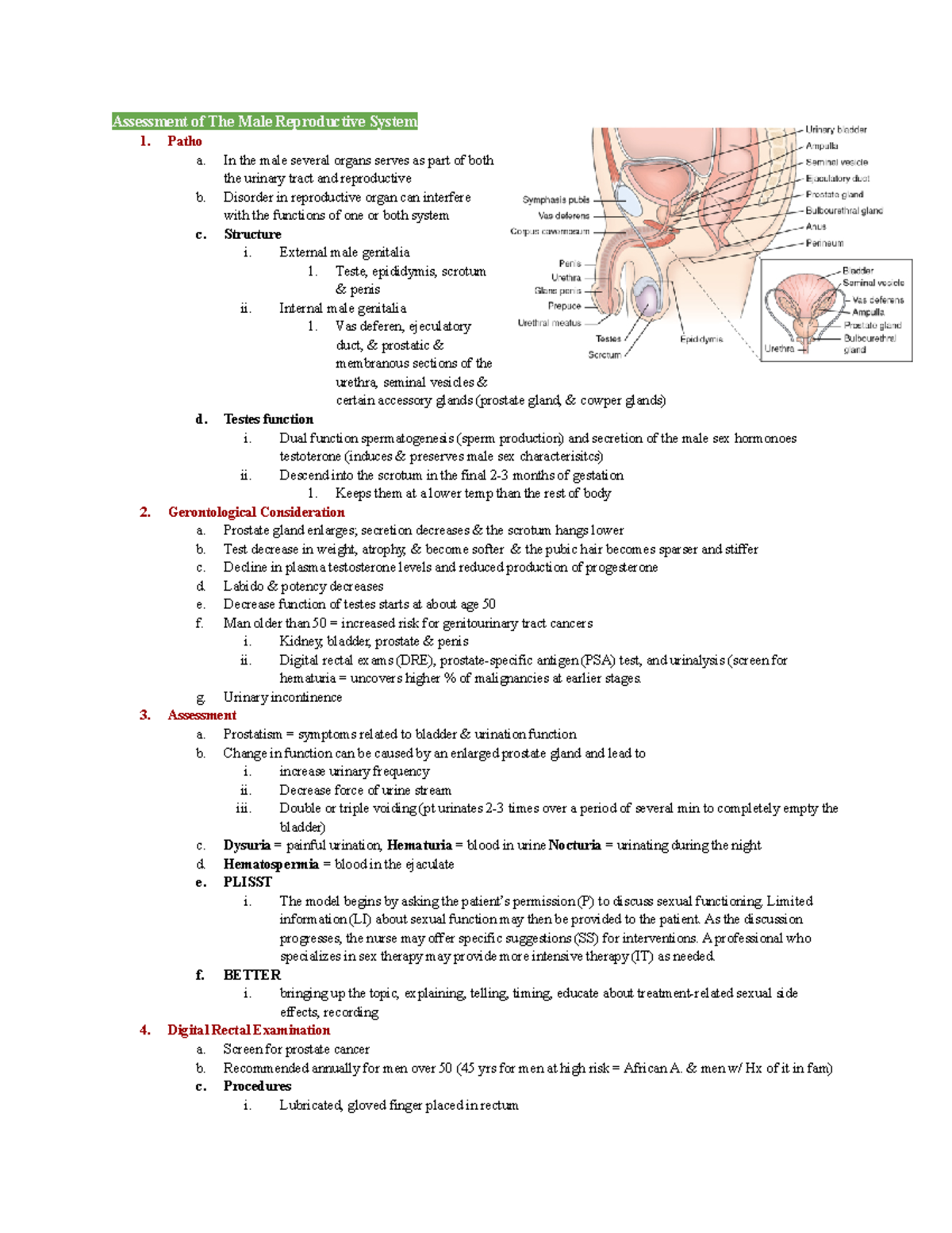 exam 2 chapter 59 Male Reproductive system - Assessment of The Male ...