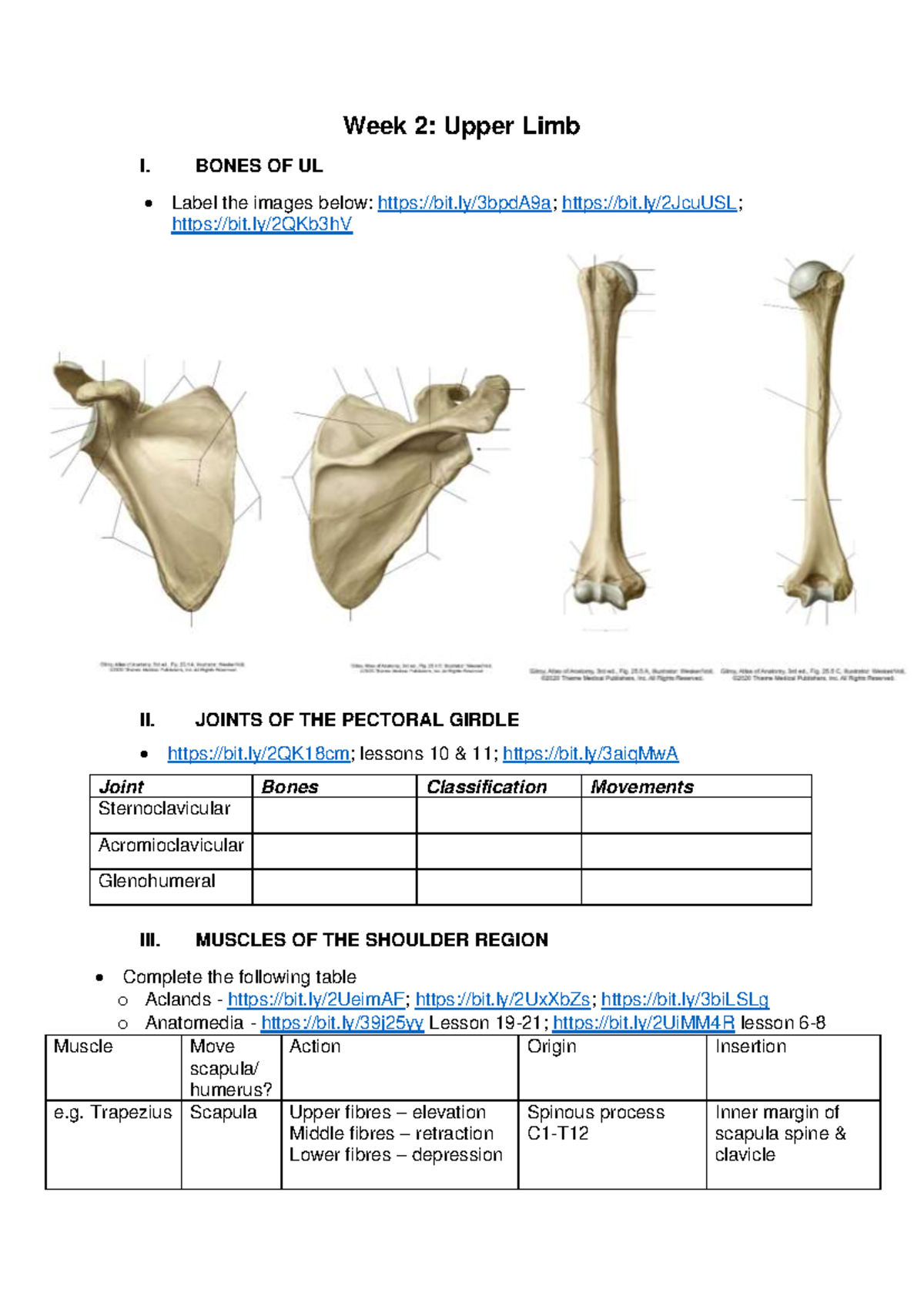 Workbook Week 2 - Week 2: Upper Limb I. BONES OF UL Label the images ...