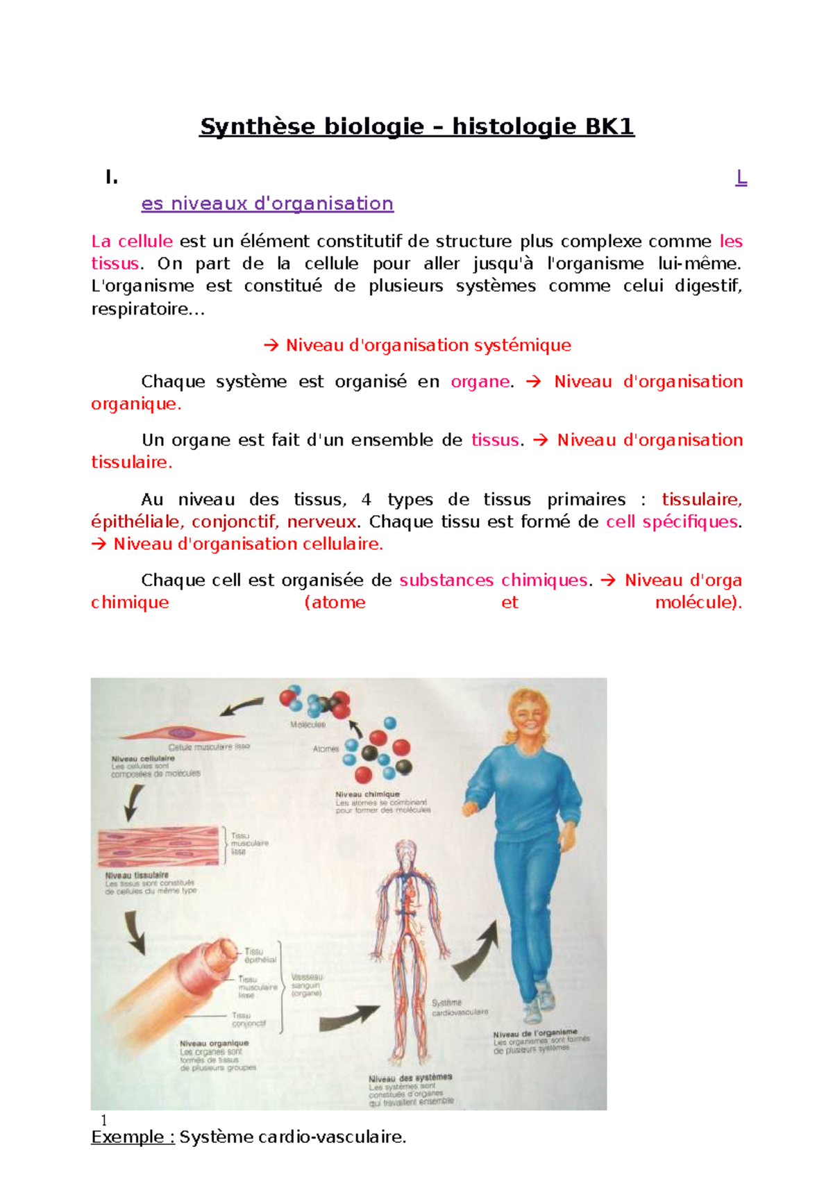 Synthèse Biologie BK1 - Synthèse Biologie – Histologie BK I. L Es ...