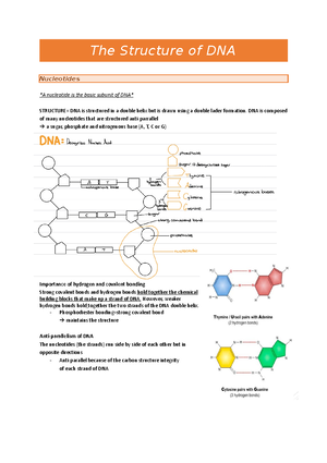 Module 7 Summary Notes Scaffold (Model Answers, Shortened) - Module 7 ...