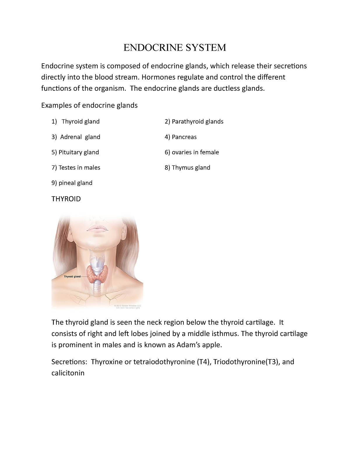 Endocrinology System - ENDOCRINE SYSTEM Endocrine System Is Composed Of ...