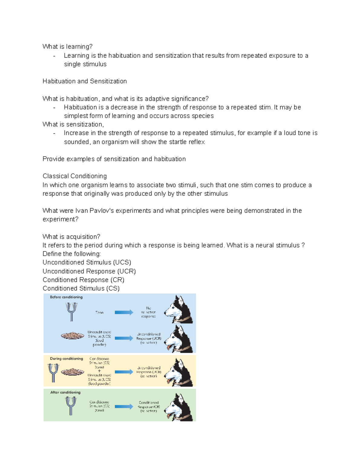 psychology-notes-ch-7-what-is-learning-learning-is-the-habituation