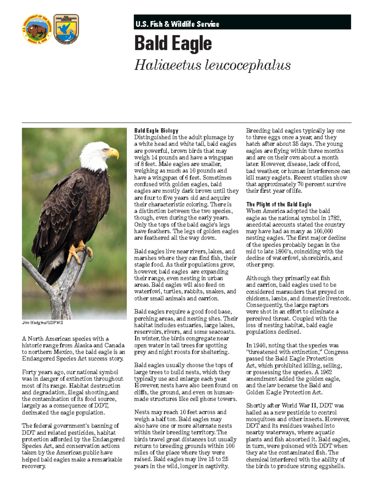 Bald eagle fact sheet reading- BIOLOGY - U. Fish & Wildlife Service ...