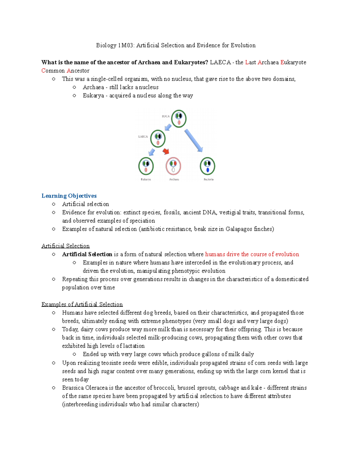 Artificial Selection and Evidence for Evolution - This is because back ...