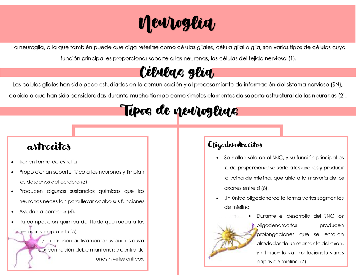 función de las células neurogliales