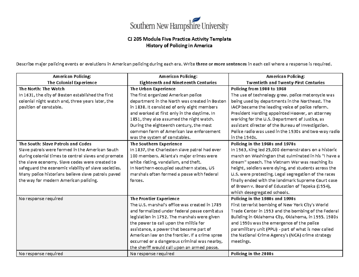 CJ 205 Module Five Practice Activity Template - CJ 205 Module Five ...