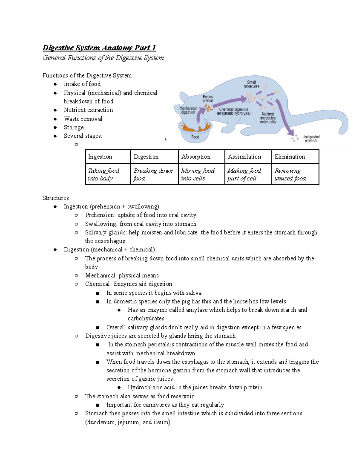 AVBS 2007 Digestion Module - Digestive System Anatomy Part 1 General ...