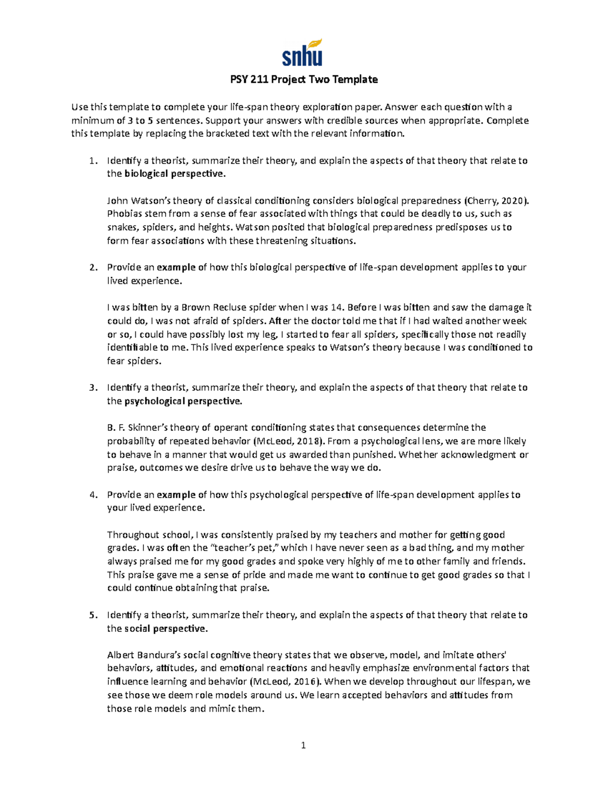 Project Two Different Perspectives PSY 211 Project Two Template Use this template to