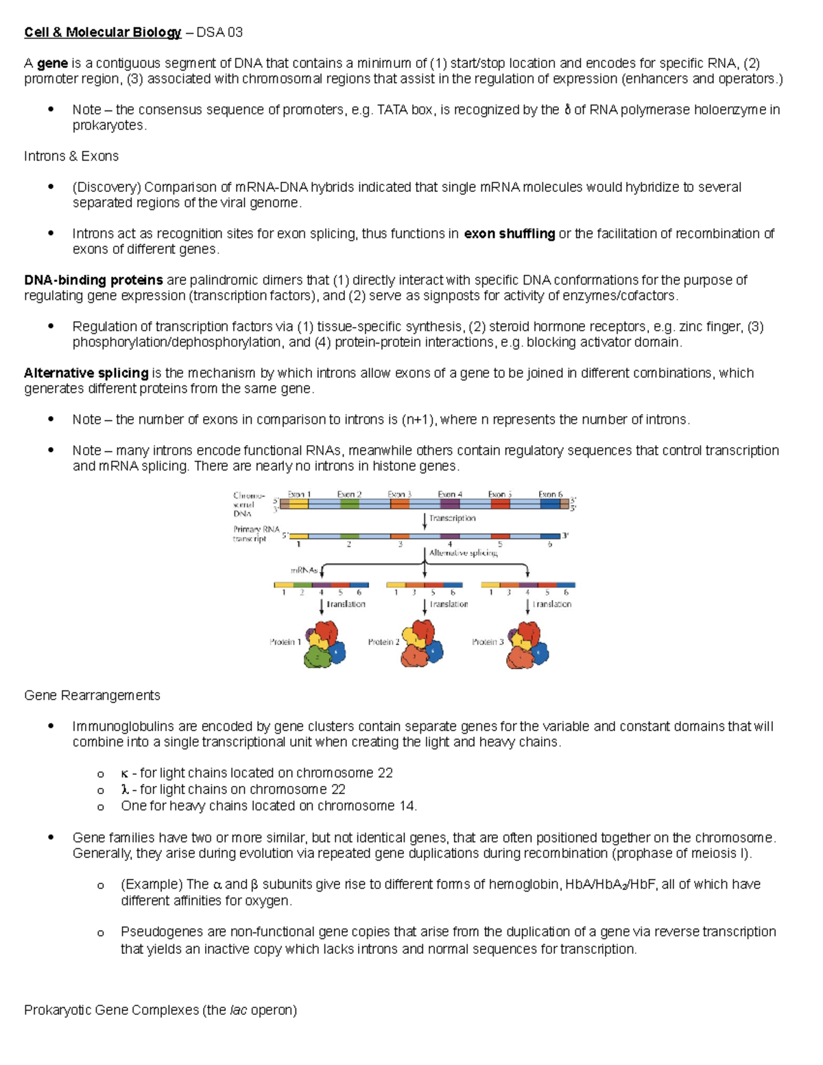 CMB - DSA 03 - Lecture notes 3 - Cell & Molecular Biology – DSA 03 A ...