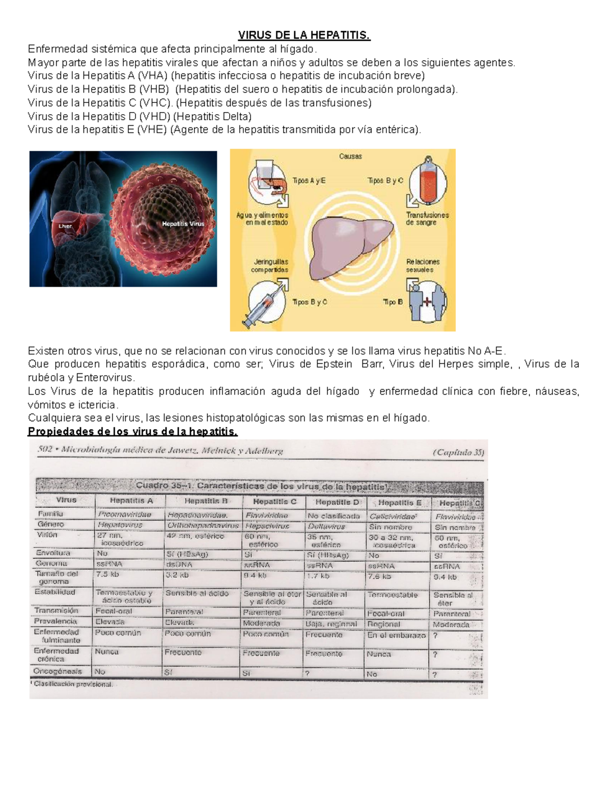 Virus DE LA Hepatitis - APUNTES - VIRUS DE LA HEPATITIS. Enfermedad ...