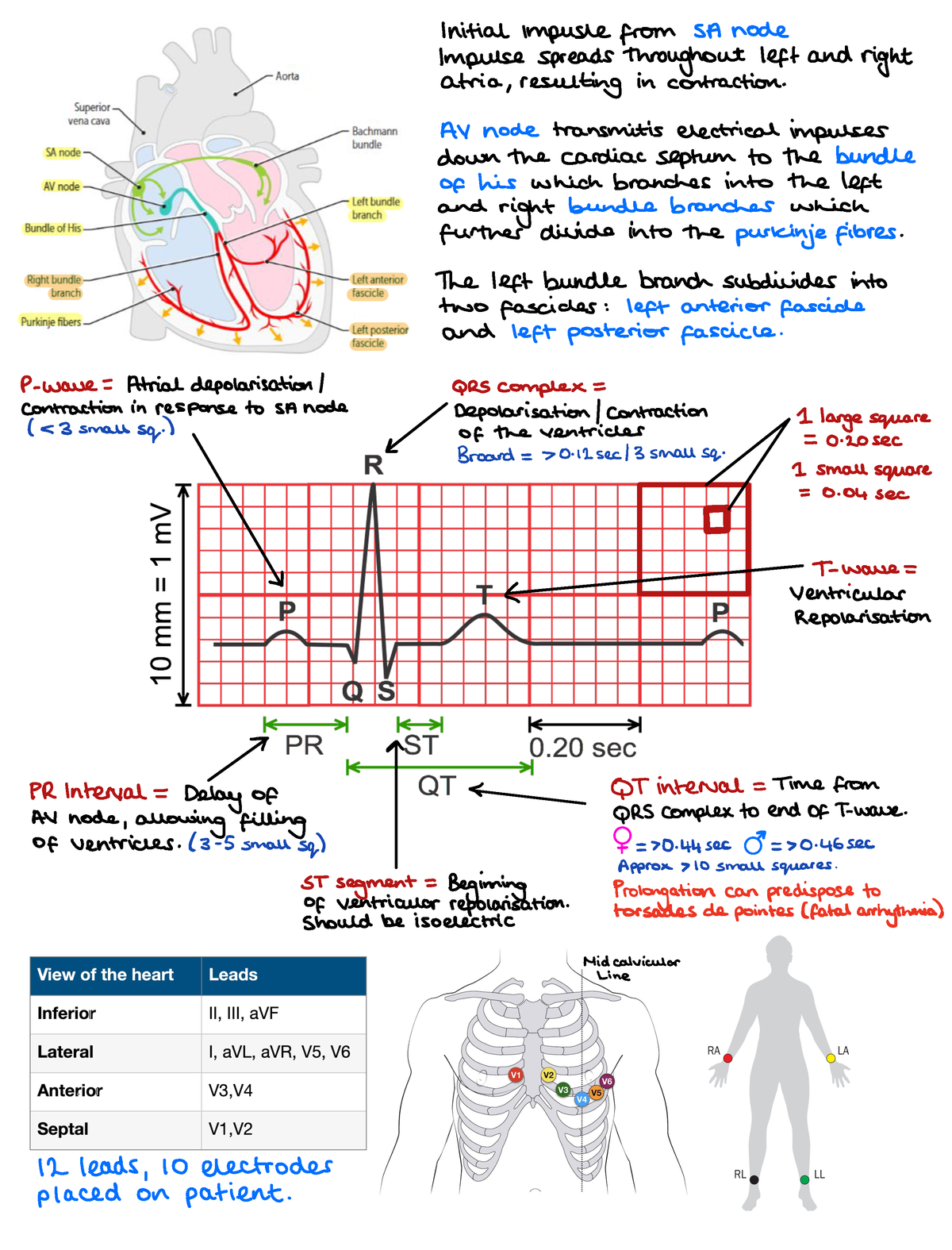 ECG Interpretation - ... - CHEM 1220 - Studocu