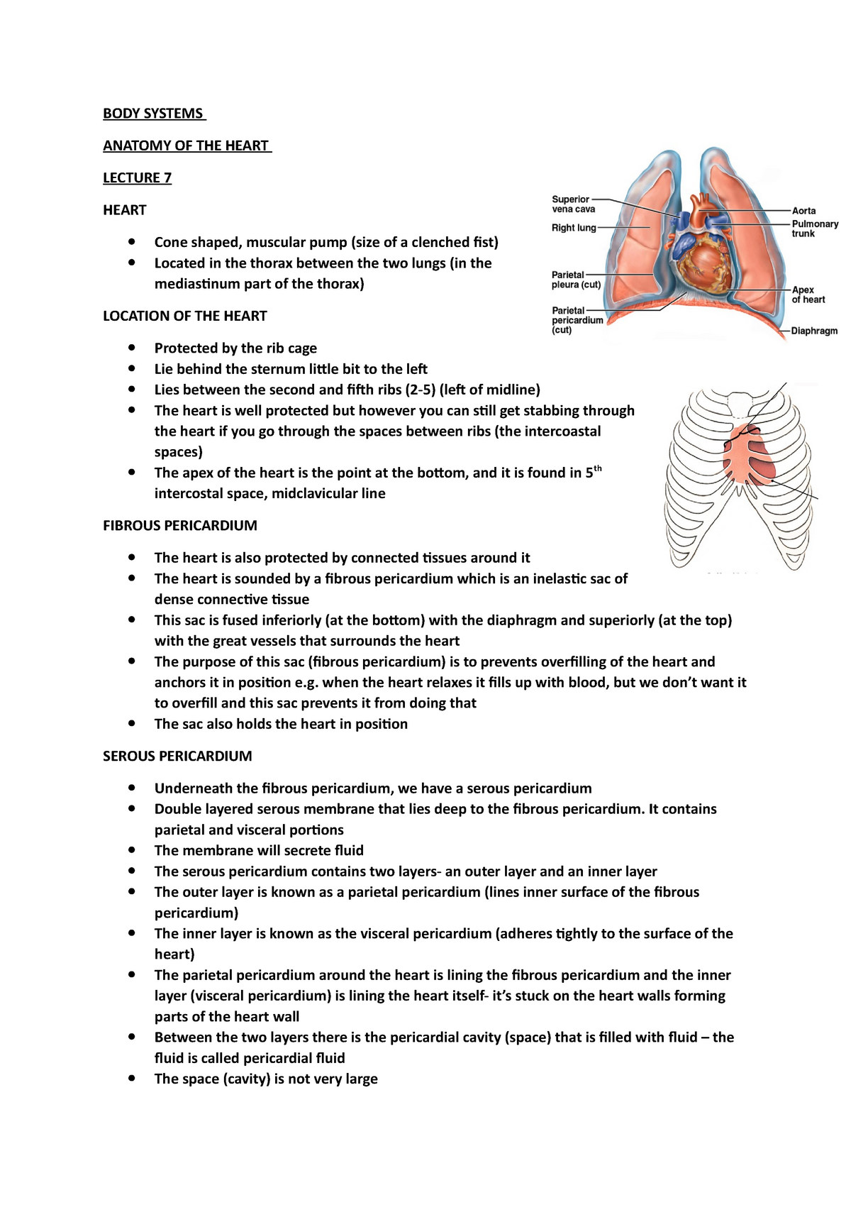 BODY Systems Lecture 7 - Niggy Gouldsborough - BODY SYSTEMS ANATOMY OF ...