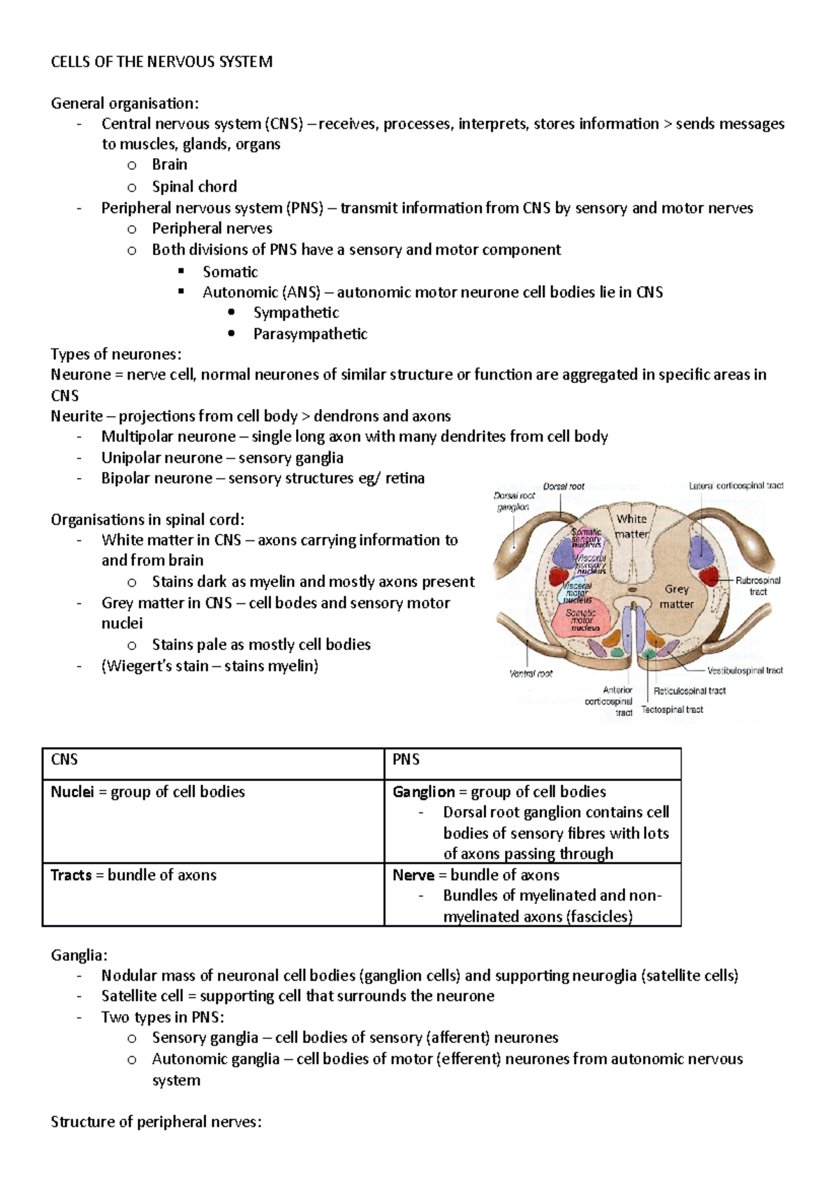 Ims - nerve and muscle - lecture notes - MEDI1220 - Leeds - Studocu