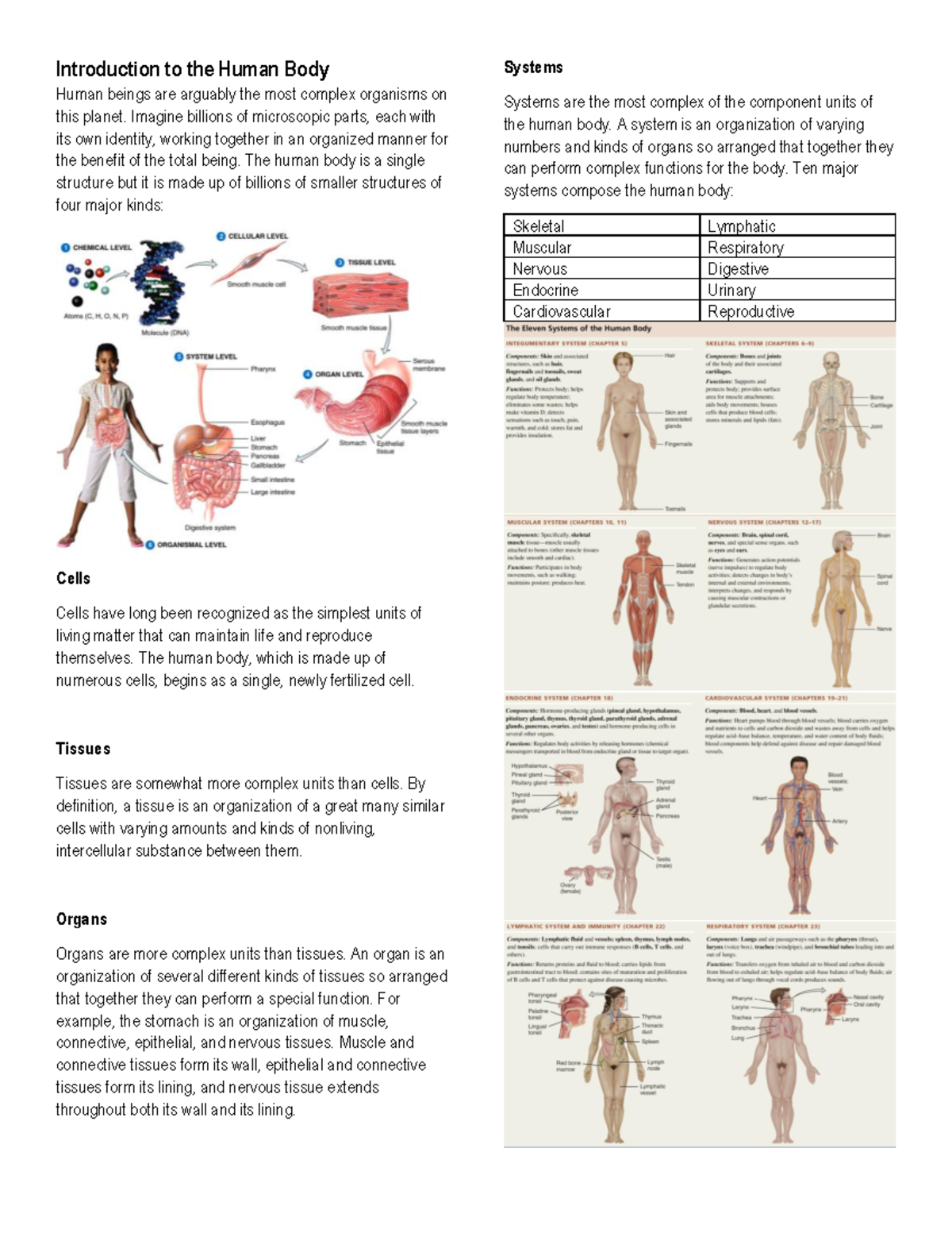 NS Introduction to the Human Body - Fundamentals of Biology - La Salle ...