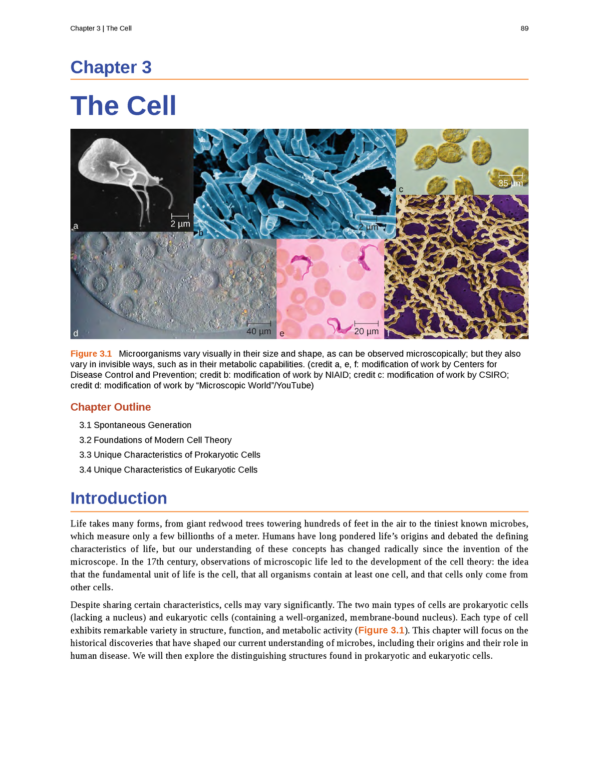 Chapter 2 The Cell - Unit 1 For Microbiolo And Parasitology Lecture ...