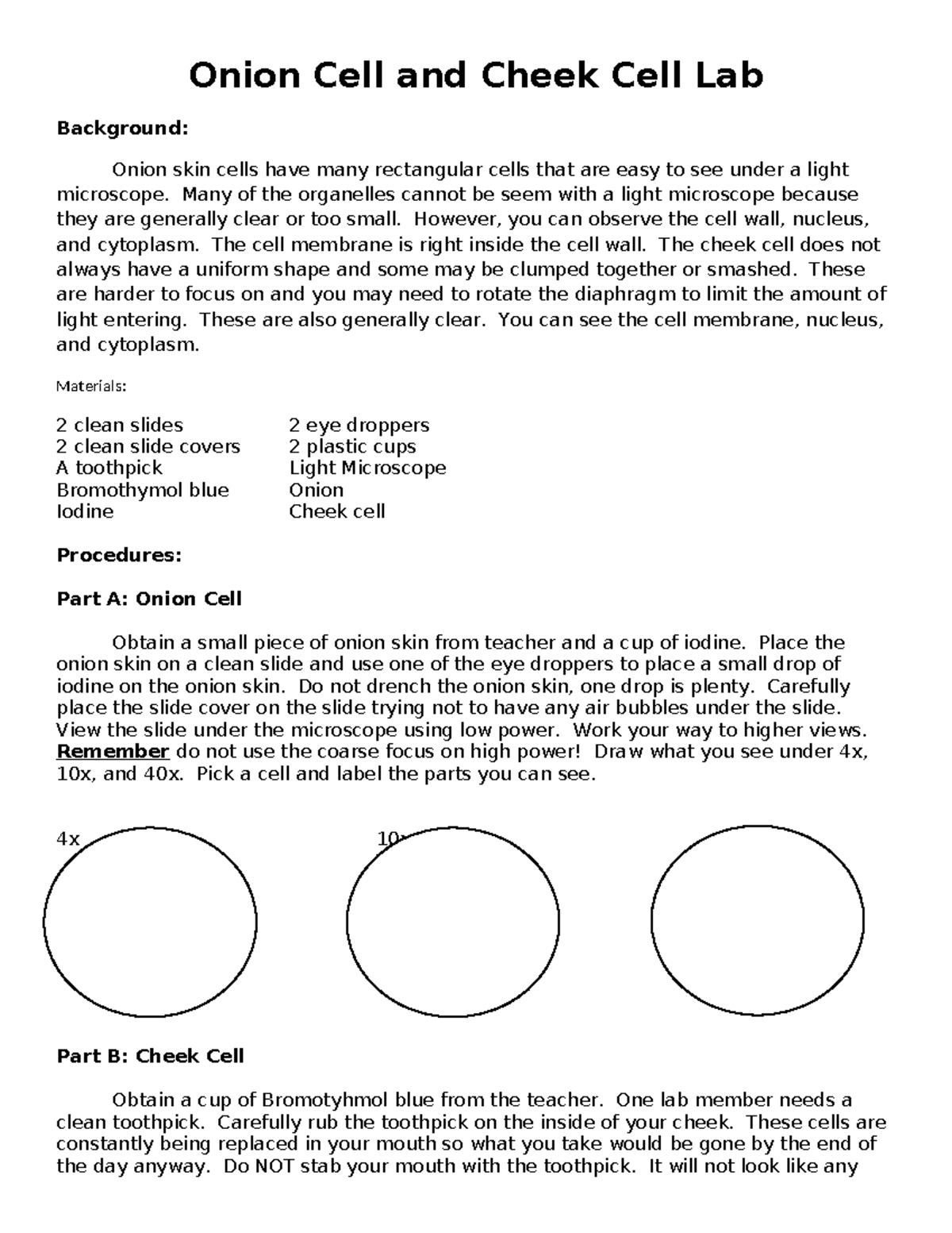 Onion Cell and Cheek Cell Lab Onion Cell and Cheek Cell Lab