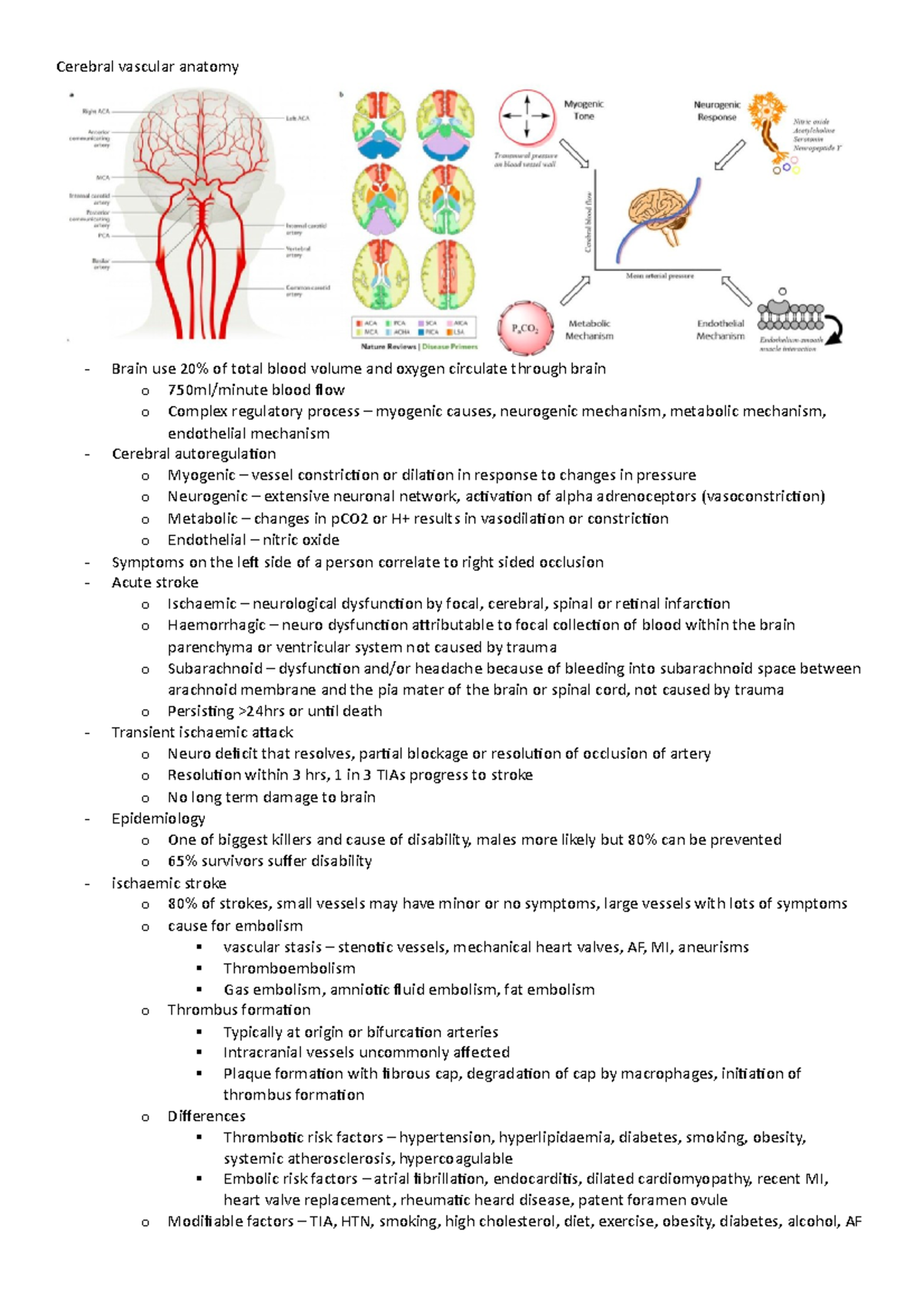 Exam Revision for CSB335 - Cerebral vascular anatomy Brain use 20% of ...