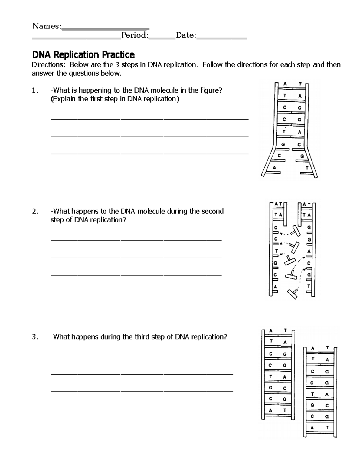 dna-replication-worksheet-names