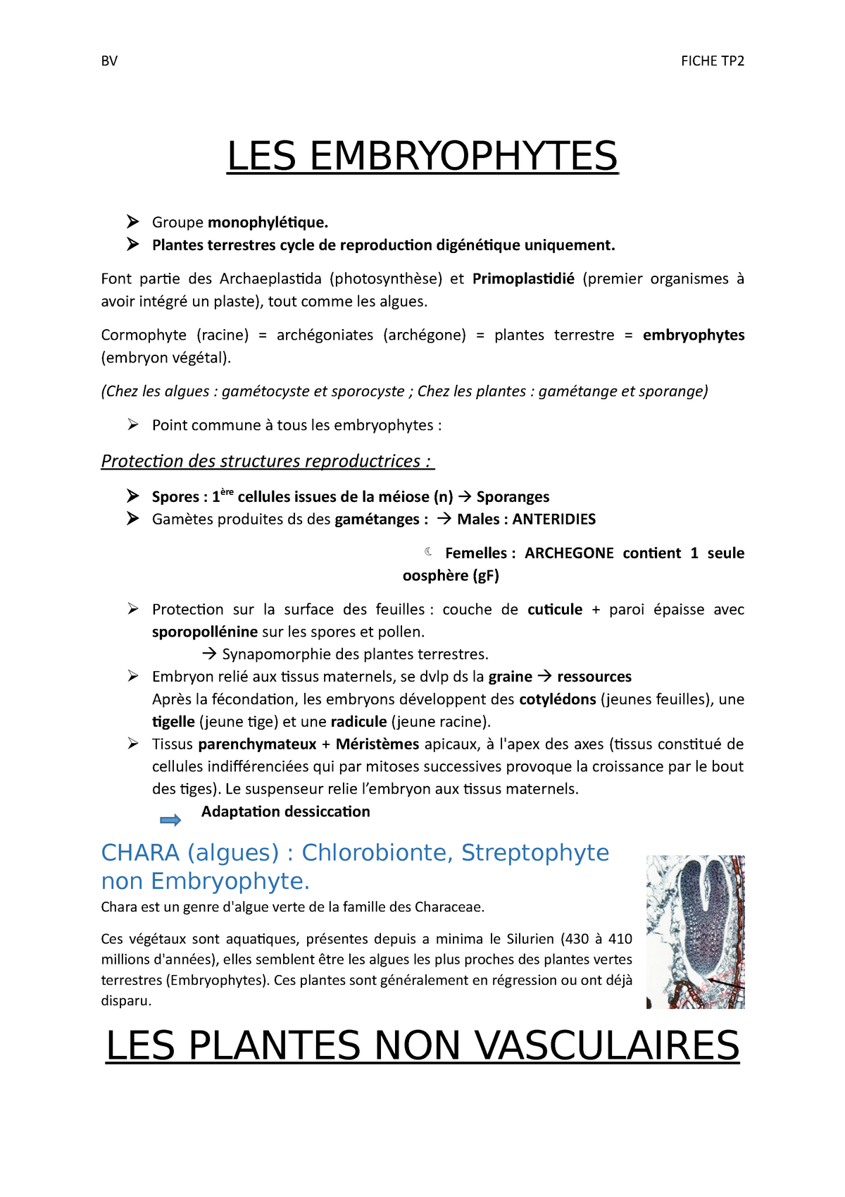 Les Embryophytes Notes De Cours 1 Les Embryophytes Groupe Monophylétique Plantes Terrestres 2968