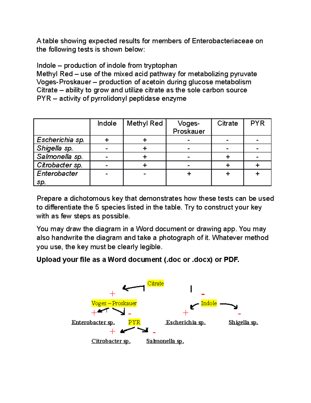 Create a dichotomous key - BIOS 351 - UIC - Studocu
