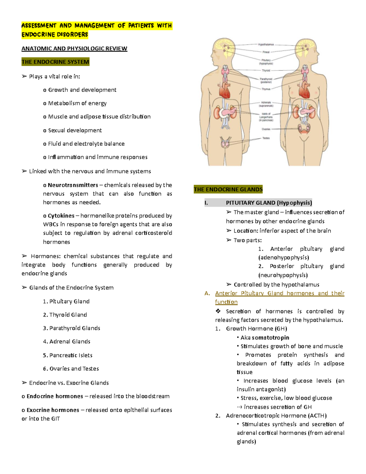 Endocrine-Disorders - ok dokee - ASSESSMENT AND MANAGEMENT OF PATIENTS ...