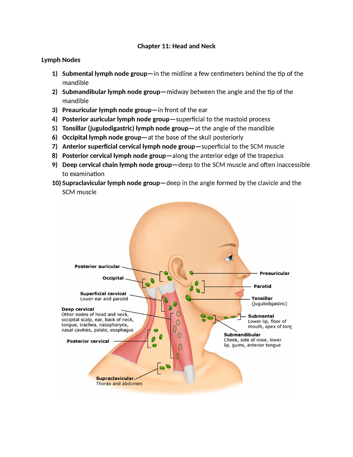 Chapter 11 - Summary Bates' Guide to Physical Examination and History ...