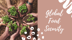 Tcw Module 14 The Global Food Security Study Guide In Ge 5