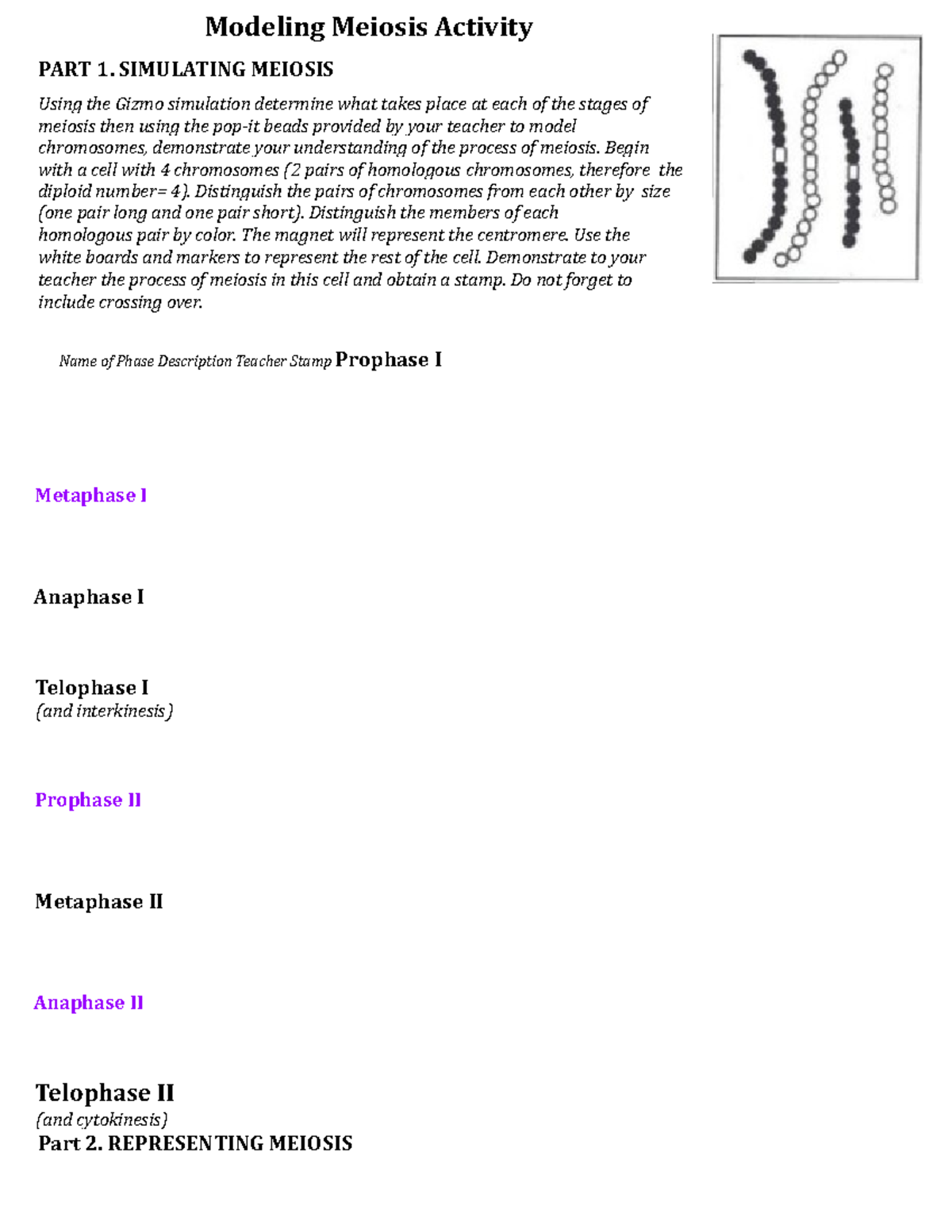 Modeling Meiosis Activity 22 23 Modeling Meiosis Activity PART 1