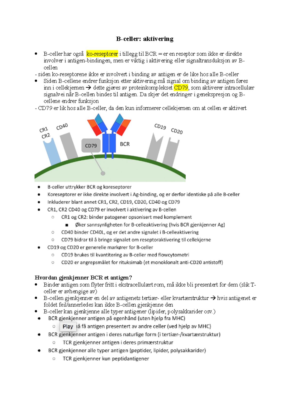 B-celle Aktivering - Immunologi-forelesninger - B-celler: Aktivering B ...