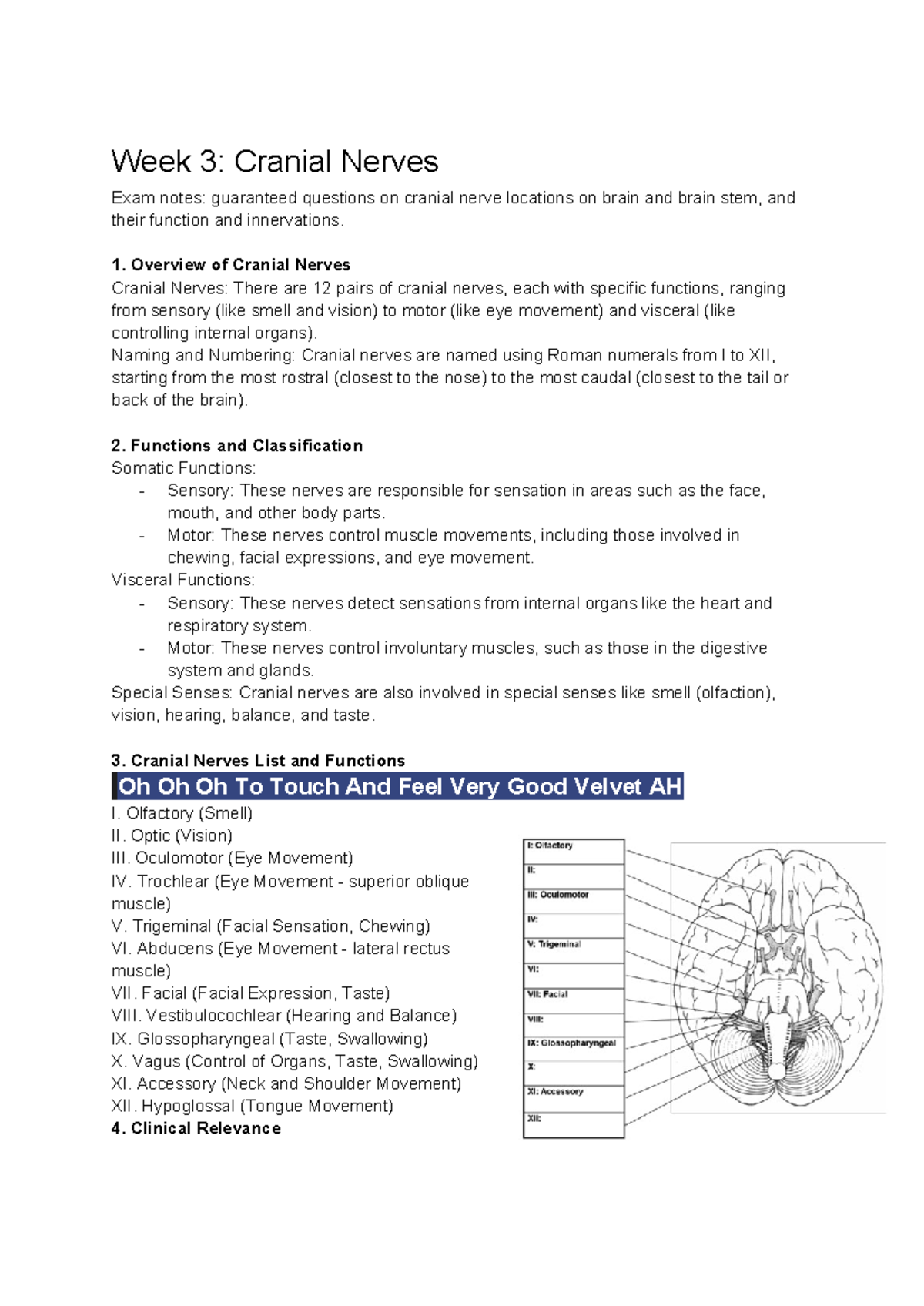 BIOS1171 - Week 3 - Cranial Nerves - Week 3: Cranial Nerves Exam notes ...