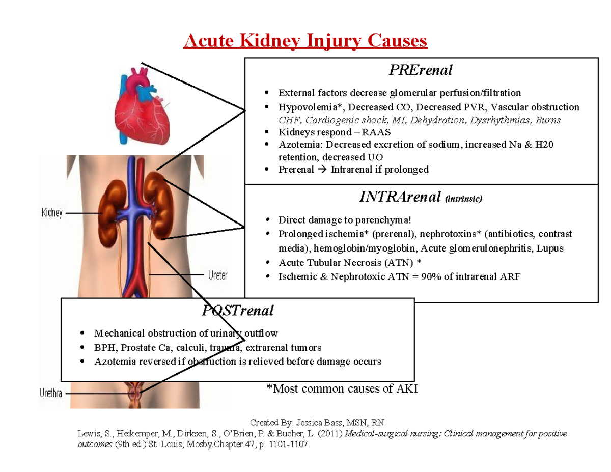 AKI Causes Handout - Acute Kidney Injury Causes *Most common causes of ...