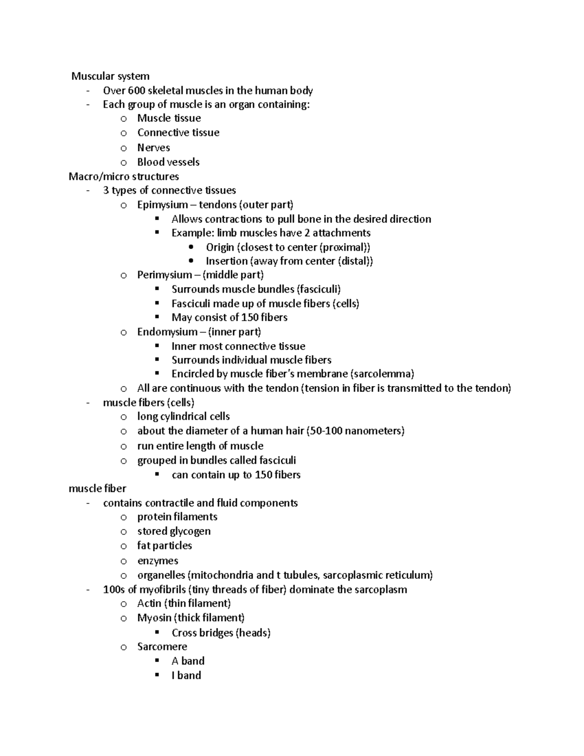 Structure and function of the skeletal muscle network - Muscular system ...