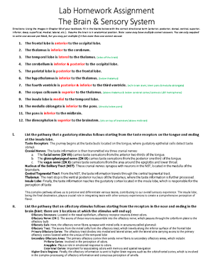 Blood Vessels & Lymphatic System Lab HW 220 - Lab Homework Assignment ...
